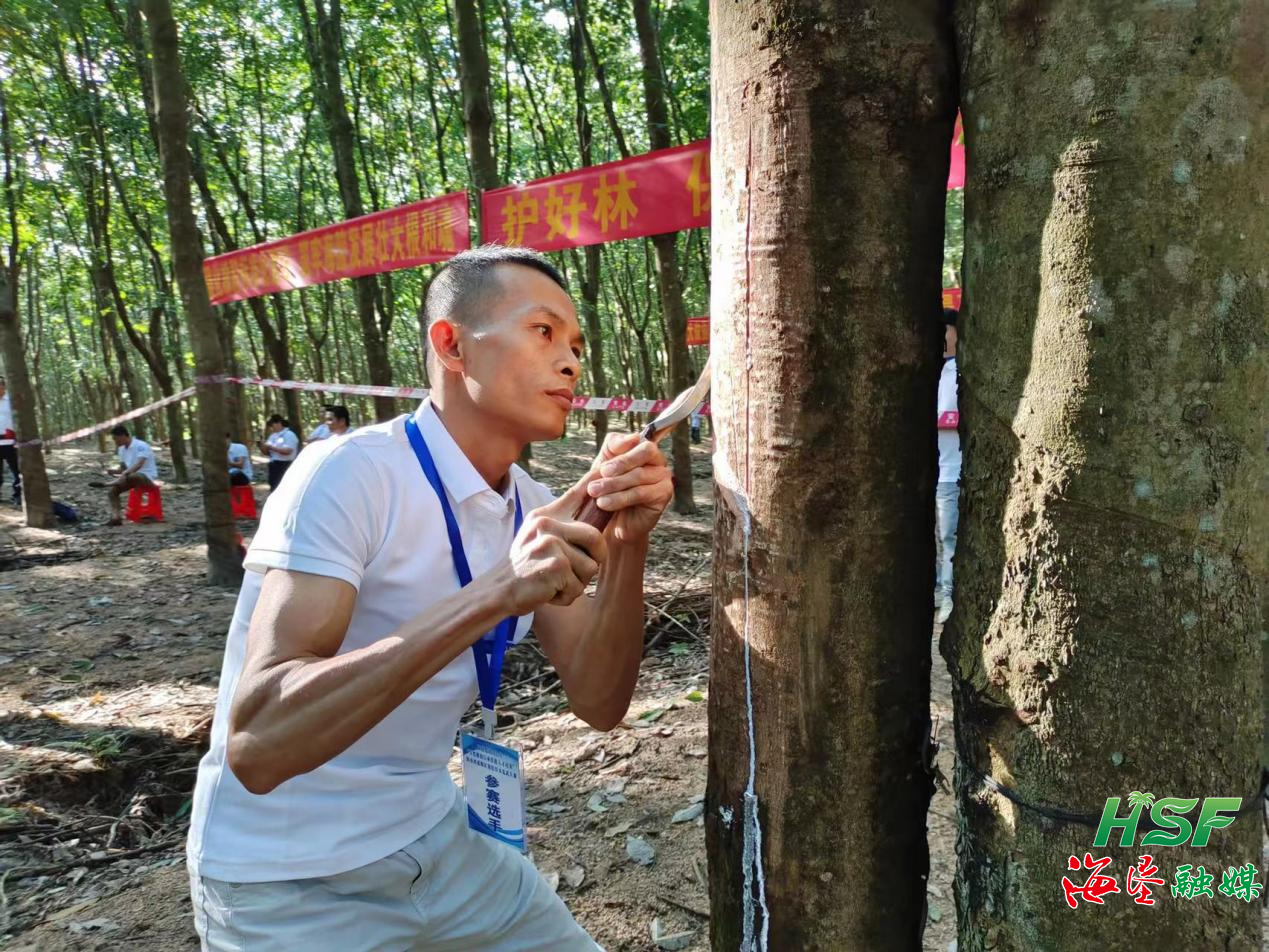 1698744555464080997.png 1698744555464080997.png