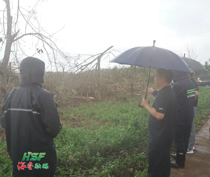 1726284654699015632.jpg 1726284654699015632.jpg