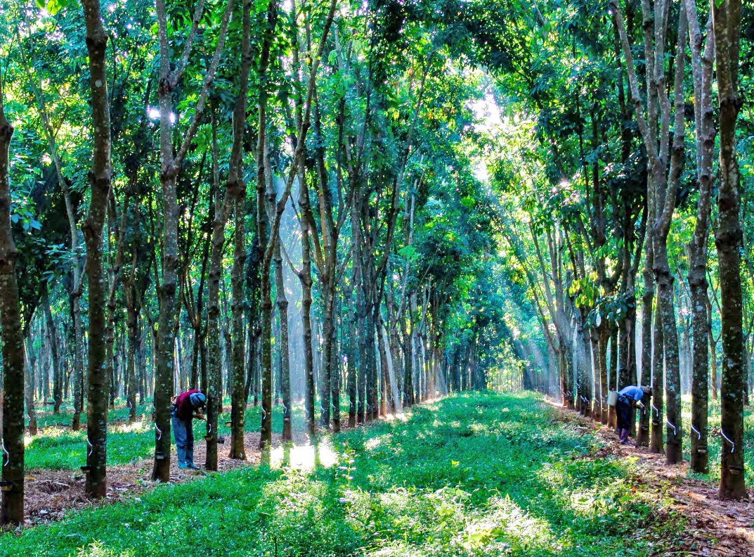 1732851220763001474.jpg 1732851220763001474.jpg